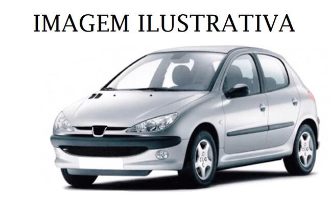 Veículo Peugeot 206