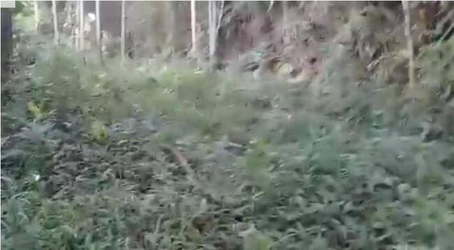 Lote de Terreno em Teresópolis
