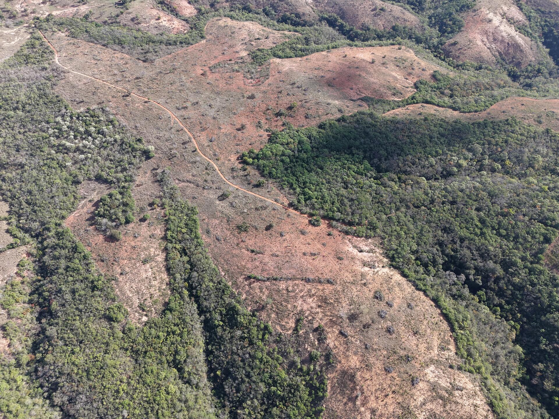 Imagem do imóvel Fazenda Barra Dos Tiros - Área: 145,2500 Hectares - Matrícula: Nº 11.630 Cri Tiros/mg