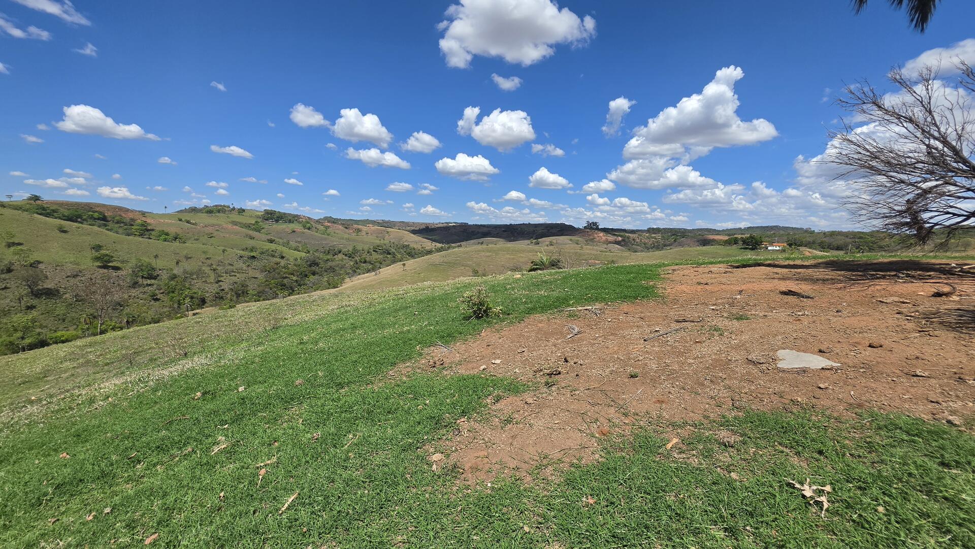 Imagem do imóvel Fazenda Flexadas - Aproximadamente 39,172 Hectares - Matricula 12.898 Cri Tiros/mg
