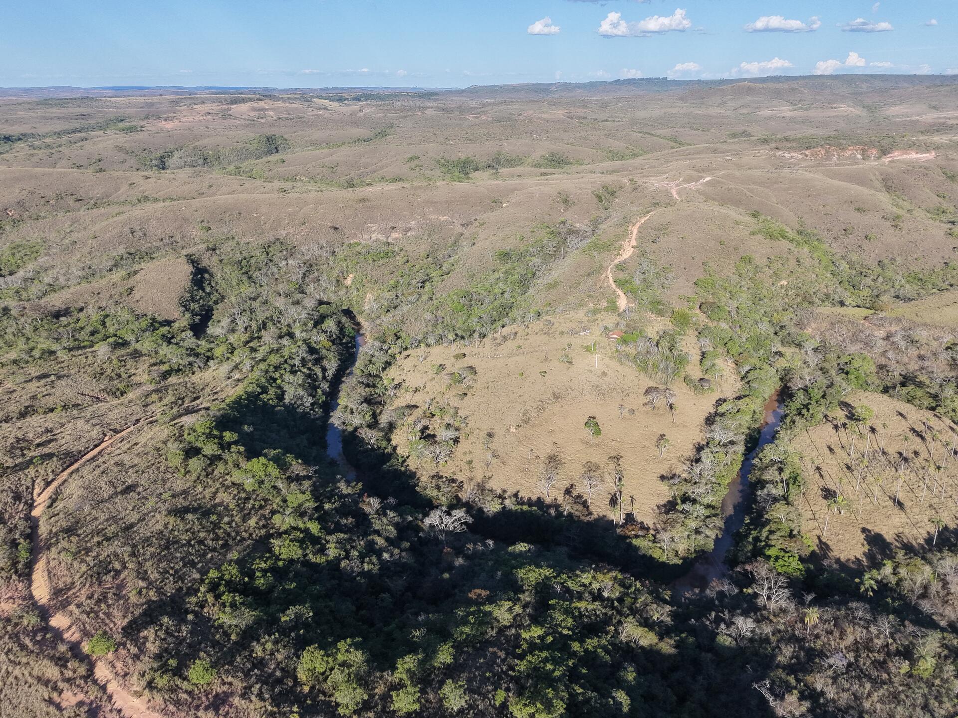 Imagem do imóvel Fazenda Nossa Senhora De Fátima - Área: 123,4894 Hectares - Matrícula: Nº 13.310
