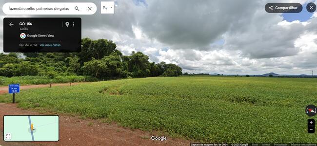 PALMEIRAS DE GOIÁS-GO Um imóvel rural, situado na Fazenda COELHO, com área de 35,90.45 hectares iguais à 04 alqueires 33 litros e 280m²