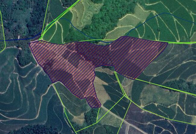 JUDICIAL DE 01 FAZENDA DE CAFÉ  MEDINDO 08.34.90ha DE TERRAS, NO LUGAR DENOMINADO CÓRREGO DAS FLORES, ZONA RURAL DE DURANDÉ-MG