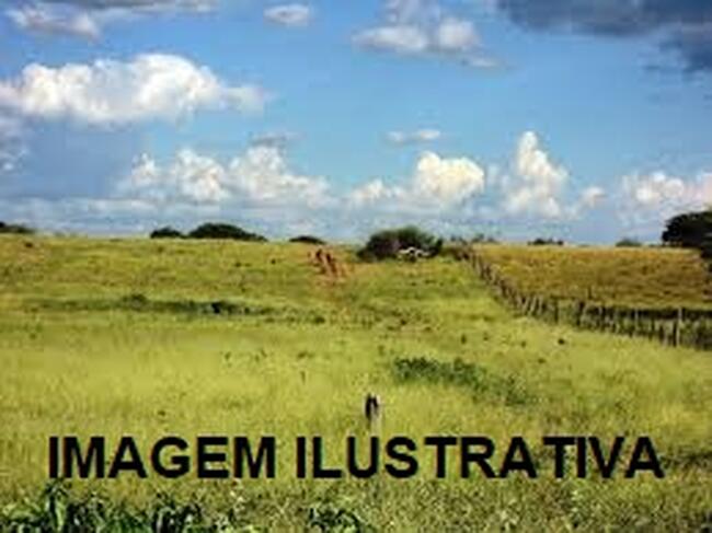 3,0250 hectares de terras na localidade “Posse do Turvo ou Mata da Jacuba”, município de Porto Firme/MG,