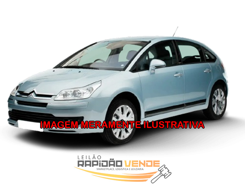 Capa do leilão ID 100