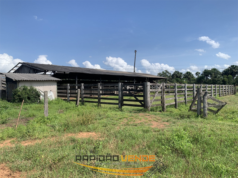 Capa do leilão ID 102