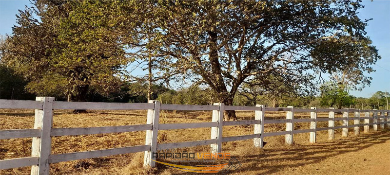 Capa do leilão ID 111