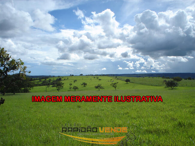 ******** LEILÃO 2352 ******** 1ª VARA DE AUGUSTINÓPOLIS FAZENDA MORRINHOS COM 100 HECTARES, LOCALIZADA EM SÃO PEDRO DOS CRENTES-MA. PAGAMENTO PARCELADO ENTRADA DE 25% + 30 PARCELAS MENSAIS.