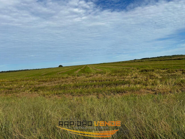 ******* LEILÃO 2357-1 *******   2ª ESCRIVÂNIA CÍVEL DE FORMOSO DO ARAGUAIA-TO. *** 05 (CINCO) FAZENDAS *** NO PROJETO RIO FORMOSO. **PAGAMENTO PARCELADO** ENTRADA DE 25% + 30 PARCELAS MENSAIS.  **CADASTRE-SE AGORA**