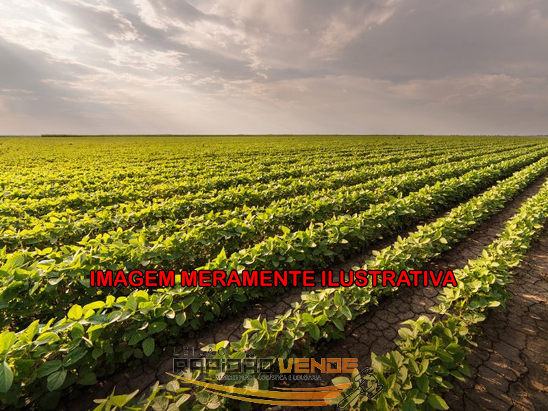 Capa do leilão ID 148