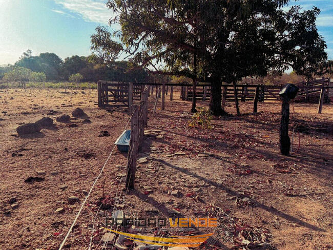 ******** LEILÃO 2366 ******** 1ª ESCRIVÂNIA CIVEL DE PEIXE. CHÁCARA COM 28,25 HA. LOCALIZADA DENTRO DA VILA QUIXABÁ - PEIXE-TO. **PAGAMENTO PARCELADO** NÃO PERCA, CADASTRE-SE *R$102.142,25  NO 2º LEILÃO*