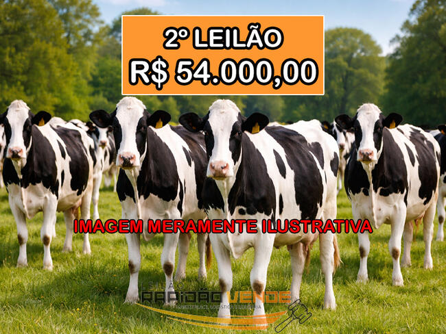 ******** LELÃO 1981 ******** 1º V. CÍVEL DE ARAGUAÍNA-TO. 14 VACAS LEITEIRAS E 01 TOURO REPRODUTOR. LOCALIZADO NO MUNICÍPIO DE ARAGOMINAS/TO. ****PAGAMENTO A VISTA**** NÃO PERCA, CADASTRE-SE **R$ 54.000,00 NO 2º LEILÃO**