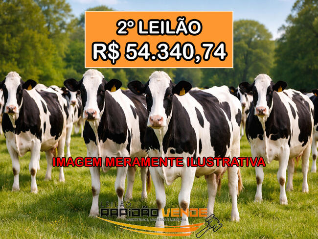 ******** LELÃO 1981 ******** 1º V. CÍVEL DE ARAGUAÍNA-TO. 14 VACAS LEITEIRAS E 01 TOURO REPRODUTOR. LOCALIZADO NO MUNICÍPIO DE ARAGOMINAS/TO. ****PAGAMENTO A VISTA**** NÃO PERCA, CADASTRE-SE **R$ 54.340,74  NO 2º LEILÃO**