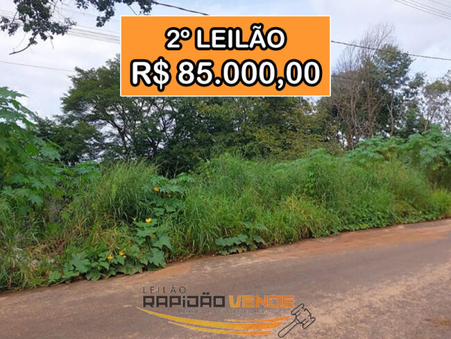 ******* LEILÃO 19127 ******* VARA DE EXECUÇÕES FISCAIS E SAÚDE DE ARAGUAÍNA-TO. LOTE RESID. COM 2.718,25 M2 LOCALIZADO NO MUNICÍPIO DE ARAGUAÍNA-TO. **PAGAMENTO PARCELADO** ENTRADA DE 25% + 30 PARCELAS MENSAIS. **85.000,00 NO 2º LEILÃO**
