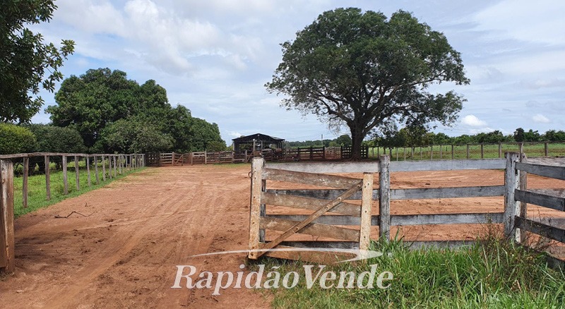 Capa do leilão ID 36