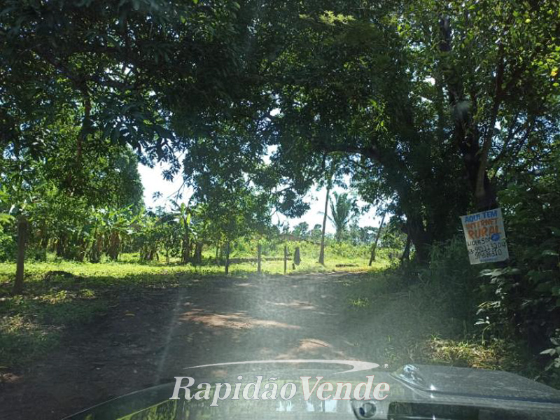 Capa do leilão ID 38