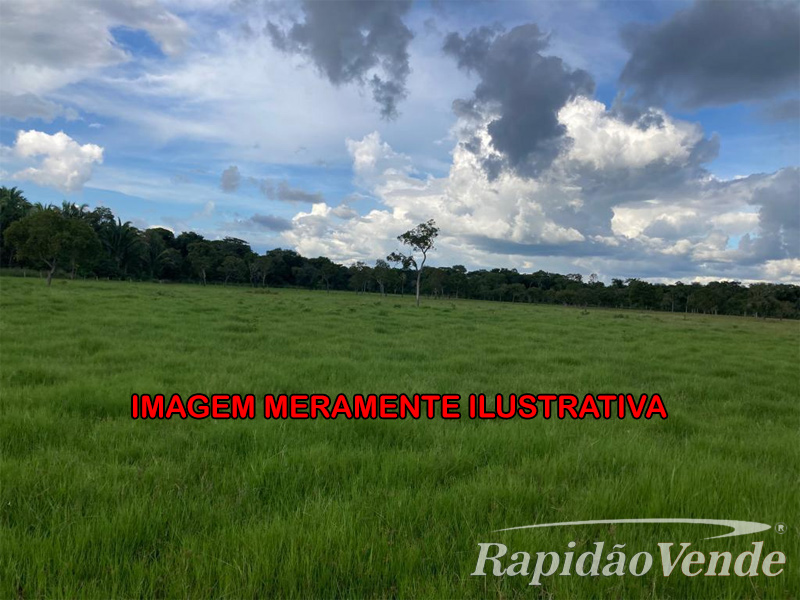 Capa do leilão ID 45