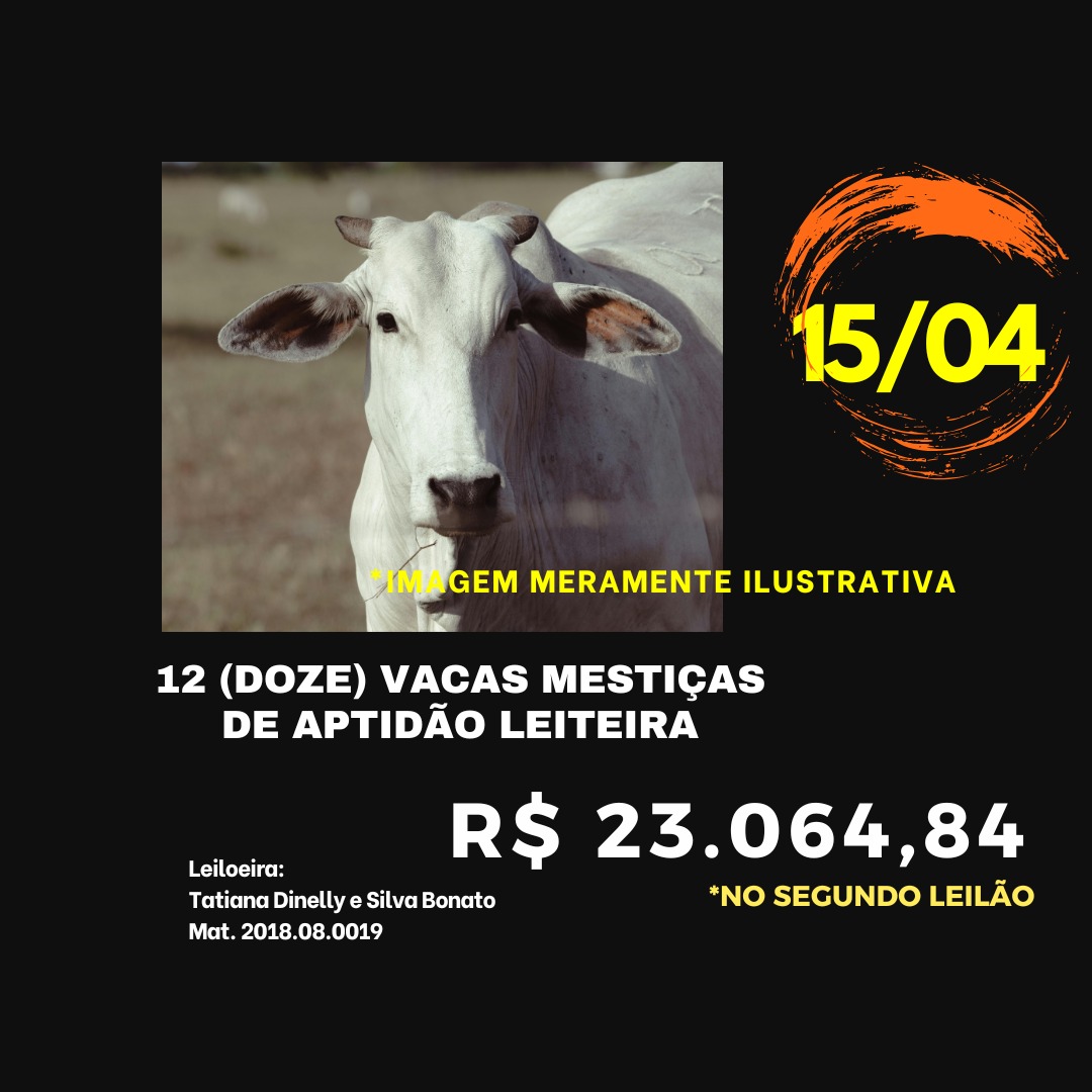 Capa do leilão ID 61
