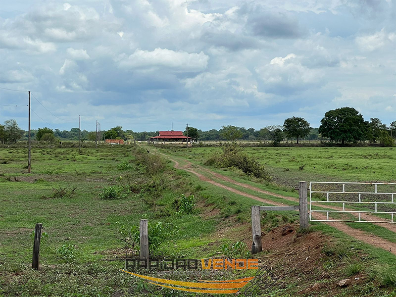 Capa do leilão ID 66