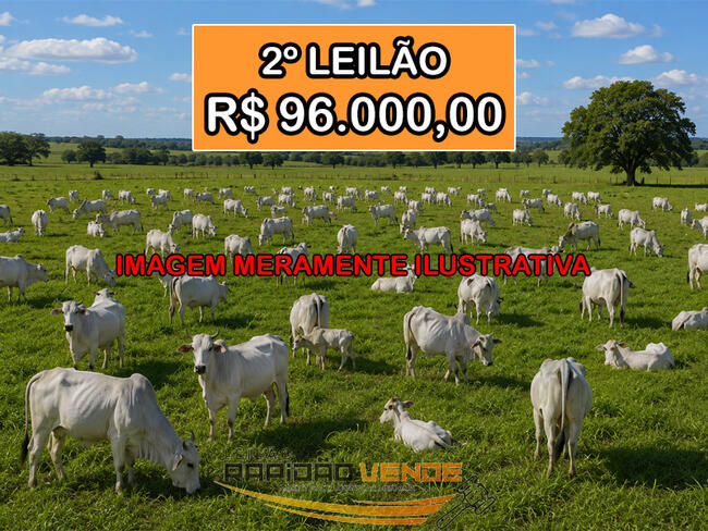 ******* LEILÃO 19100 ******* 1ª V. CÍVEL DE MIRACEMA-TO. 96 SEMOVENTES. LOCALIZADOS NO MUNICÍPIO DE RIO SONO-TO. **PAGAMENTO À VISTA**  **R$96.000,00 2º LEILÃO**