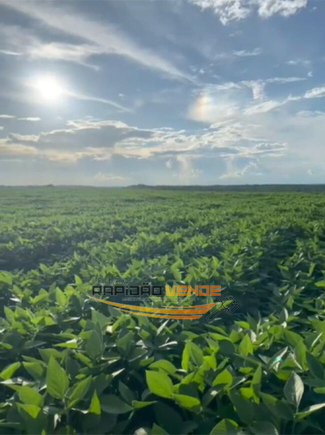 OFP-09/25 - FAZENDA DE SOJA COM 471,77 HECTARES.