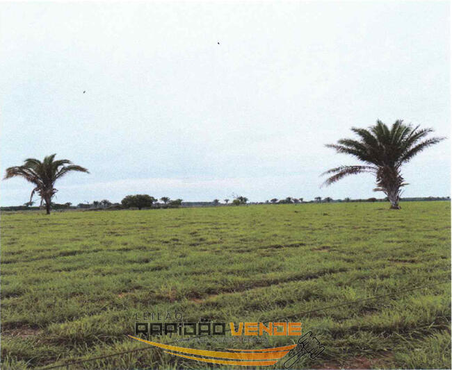 LEILÃO 2347