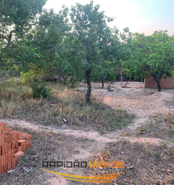 Capa do leilão ID 98