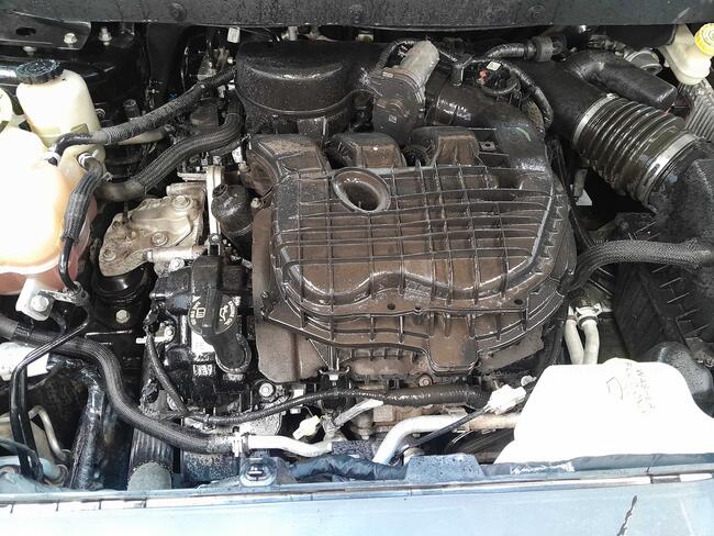 69fca39e17300-69fca39e71dfa.jpg