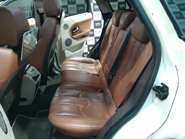 6a19e350e35d5-6a19e3514fb49.jpg