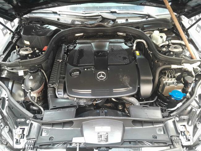 69f89b4767daa-69f89b47cde72.jpg
