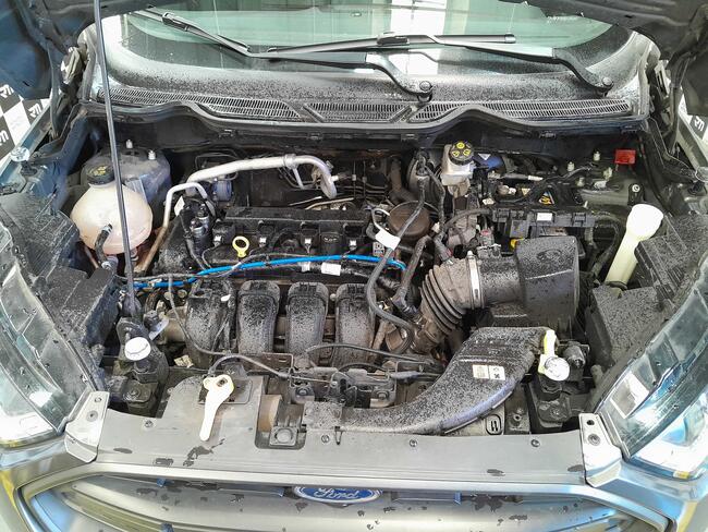 67447fca570b2-67447fcab0ca7.jpg