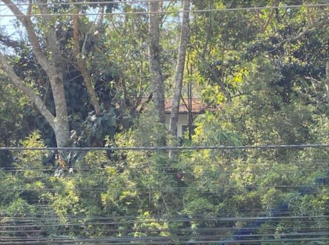 Imóvel Com Área De 36.140m² Em Petrópolis, localizado em Petrópolis - RJ, bairro Centro