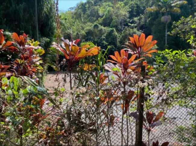 Imóvel Com Área De 36.140m² Em Petrópolis, localizado em Petrópolis - RJ, bairro Centro