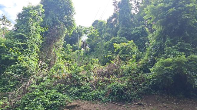 Lote de terreno com 1.056m², Cond. Geral Portogalo, Angra dos Reis