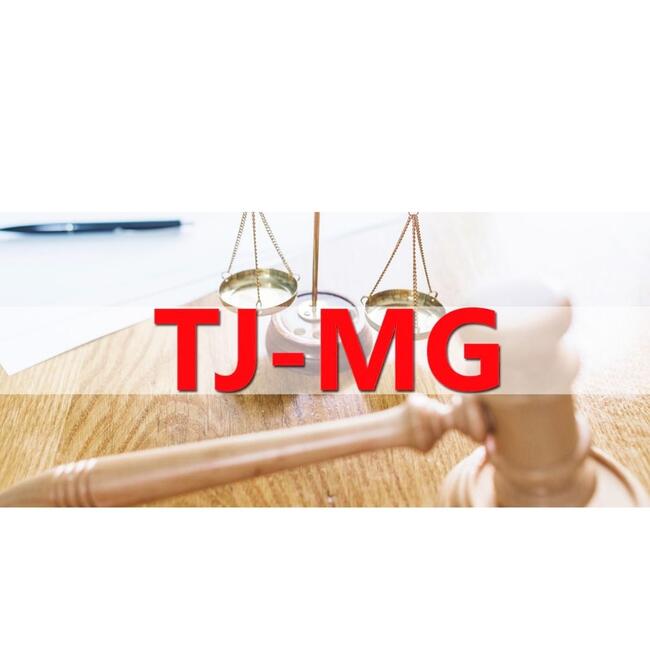 TJMG - 10 malas proprias para viagem, novas marca ACTUAL IMPORT tamanho médio 24 codigo ACT 20 28 com rodinhas giro de 360, material fibra, em diversas cores.