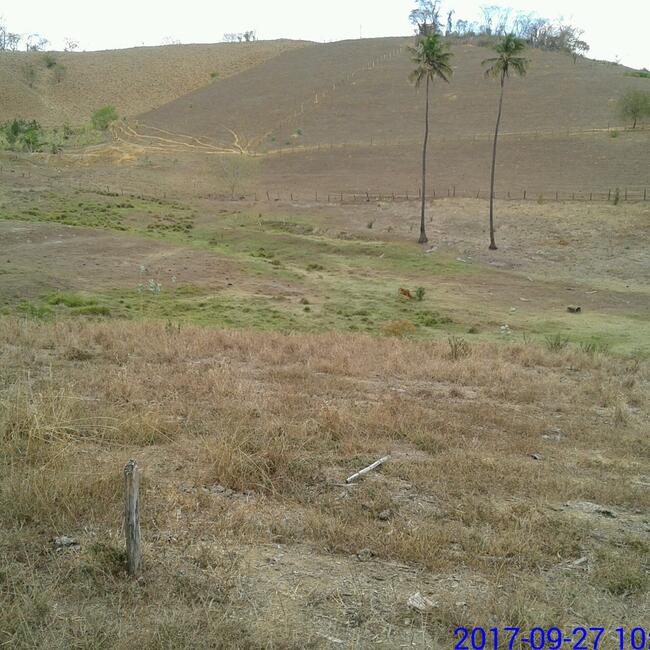 Imóvel rural com área de 5,594ha, situado na Zona Rural do Município de Aperibé / RJ