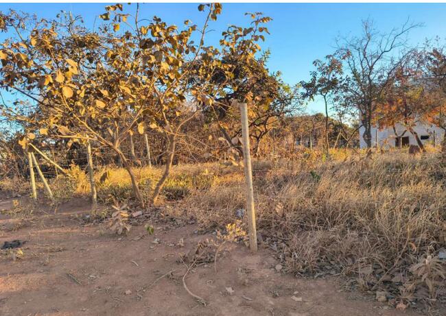 Lote C/ Área De 613,00 M² | Juscelino Kubitschek De Oliveira | Jaboticatubas, localizado em Jaboticatubas - MG, bairro Juscelino Kubitschek de Oliveira