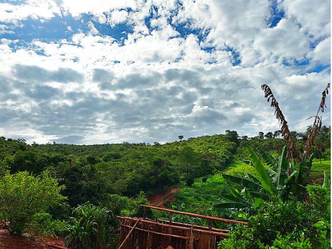 Imóvel Rural C/ 37,4500 Ha | S/ Benfeitorias | Barreiro Barbada De Baixo | Senador Modestino Gonçalves | Diamantina , localizado em Senador Modestino Gonçalves - MG