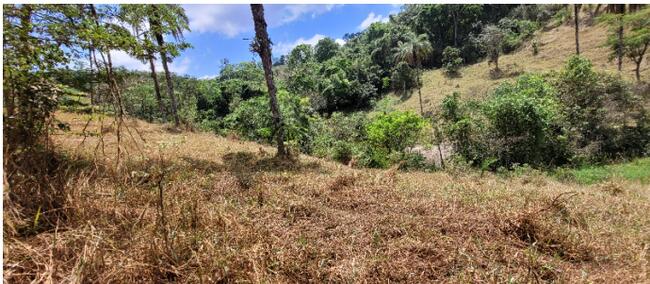 7,99% Do Imóvel | 0,48739 Hectares | Terra Nua | Rio Manso/mg, localizado em Rio Manso - MG