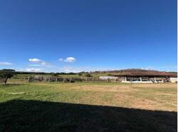 Foto de Fazenda c/ Área de 38,72ha, Casa Sede, 02 Casas Auxiliares e Curral | Ipaba/MG
