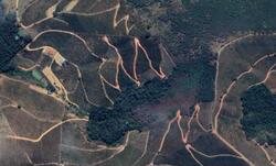 Foto de Imóvel Rural c/ aprox. 3ha | Córrego Sapucaia, Mutum/MG