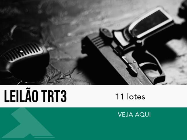 ARMAMENTO - PROVIR VIGILANCIA LTDA - EPP
