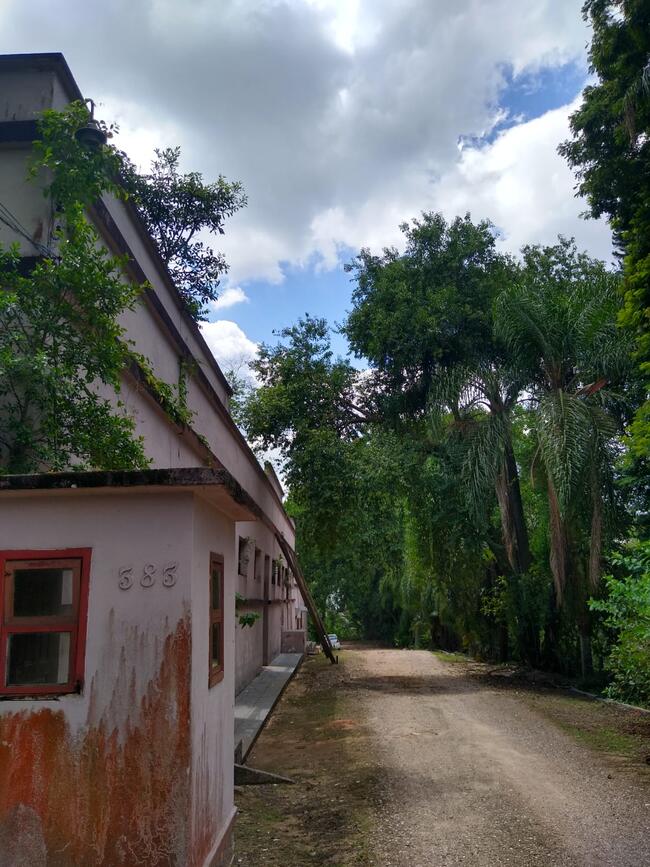 Imóvel Área 3.000,00 M², Com Área Construída De 1.102,08 M², Urussanga/sc, localizado em Urussanga - SC