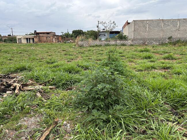Lote N°. 09, Da Quadra 53, Ouro Verde, Área 240,00 M², Padre Bernardo - Goiás., localizado em Padre Bernardo - GO