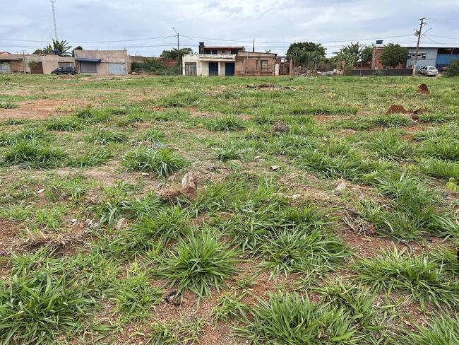 Lote N°. 12, Da Quadra 53, Ouro Verde, Área 240,00 M², Padre Bernardo - Goiás., localizado em Padre Bernardo - GO
