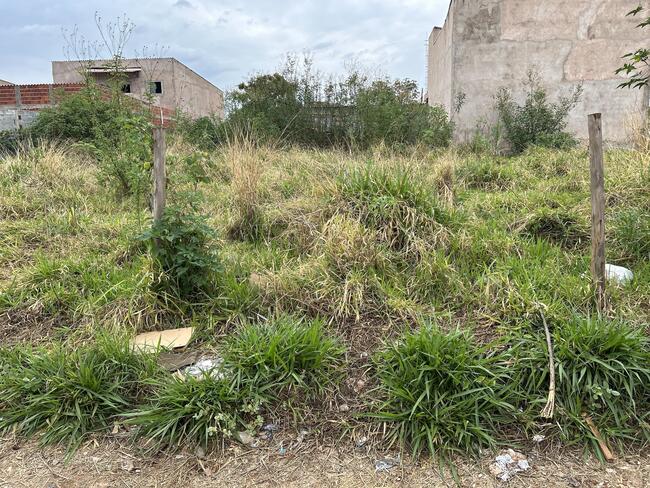 Lote N°. 19, Da Quadra 53, Ouro Verde, Área 240,00 M², Padre Bernardo - Goiás., localizado em Padre Bernardo - GO