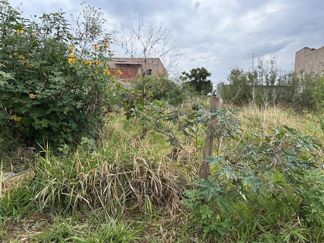 Lote N°. 20, Da Quadra 53, Ouro Verde, Área 240,00 M², Padre Bernardo - Goiás., localizado em Padre Bernardo - GO