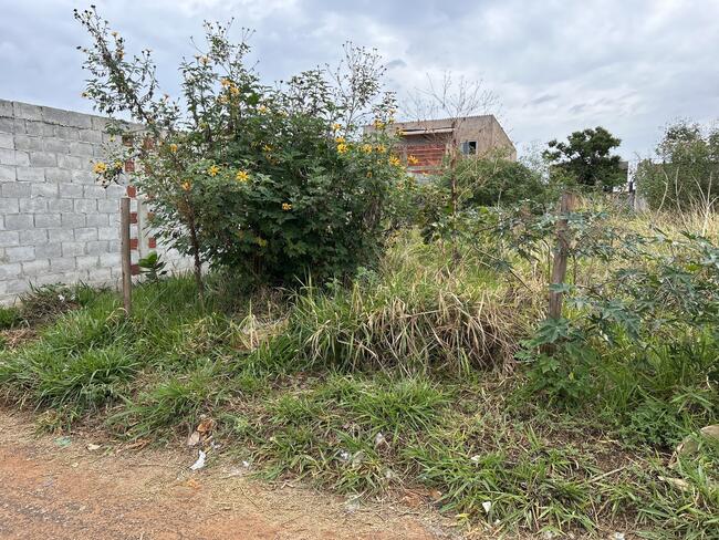 Lote N°. 20, Da Quadra 53, Ouro Verde, Área 240,00 M², Padre Bernardo - Goiás., localizado em Padre Bernardo - GO