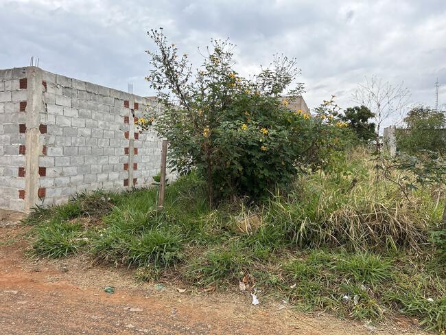 Lote N°. 20, Da Quadra 53, Ouro Verde, Área 240,00 M², Padre Bernardo - Goiás., localizado em Padre Bernardo - GO