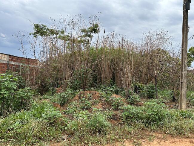 Lote N° 37, Da Quadra 28, Ouro Verde, Área 250,00 M², Padre Bernardo - Goiás., localizado em Padre Bernardo - GO